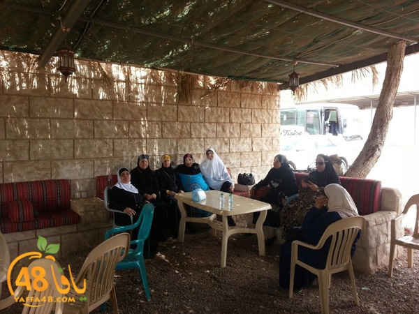 mo3tmreen yfasafa3 (11).JPG